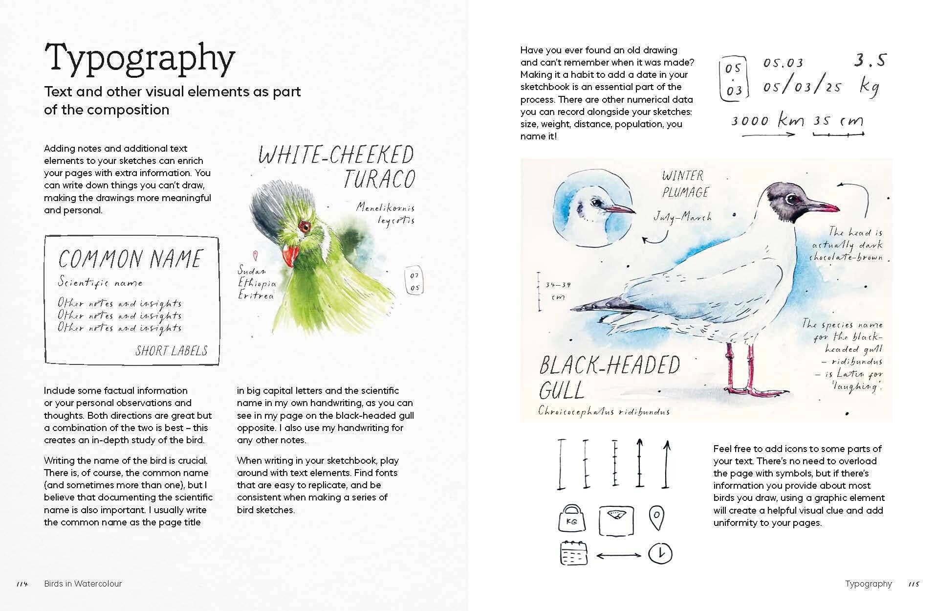 Birds in Watercolour