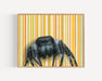 Jumping Spider - Fine Art Print showcases a whimsical insect illustration, perfect for macabre art lovers and collectors.