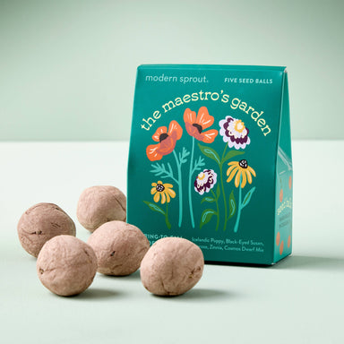 The Maestro's Garden seed ball kit from Bespoke Blooms by Modern Sprout, showcasing vibrant floral illustrations with five hand-rolled seed balls on a light background.