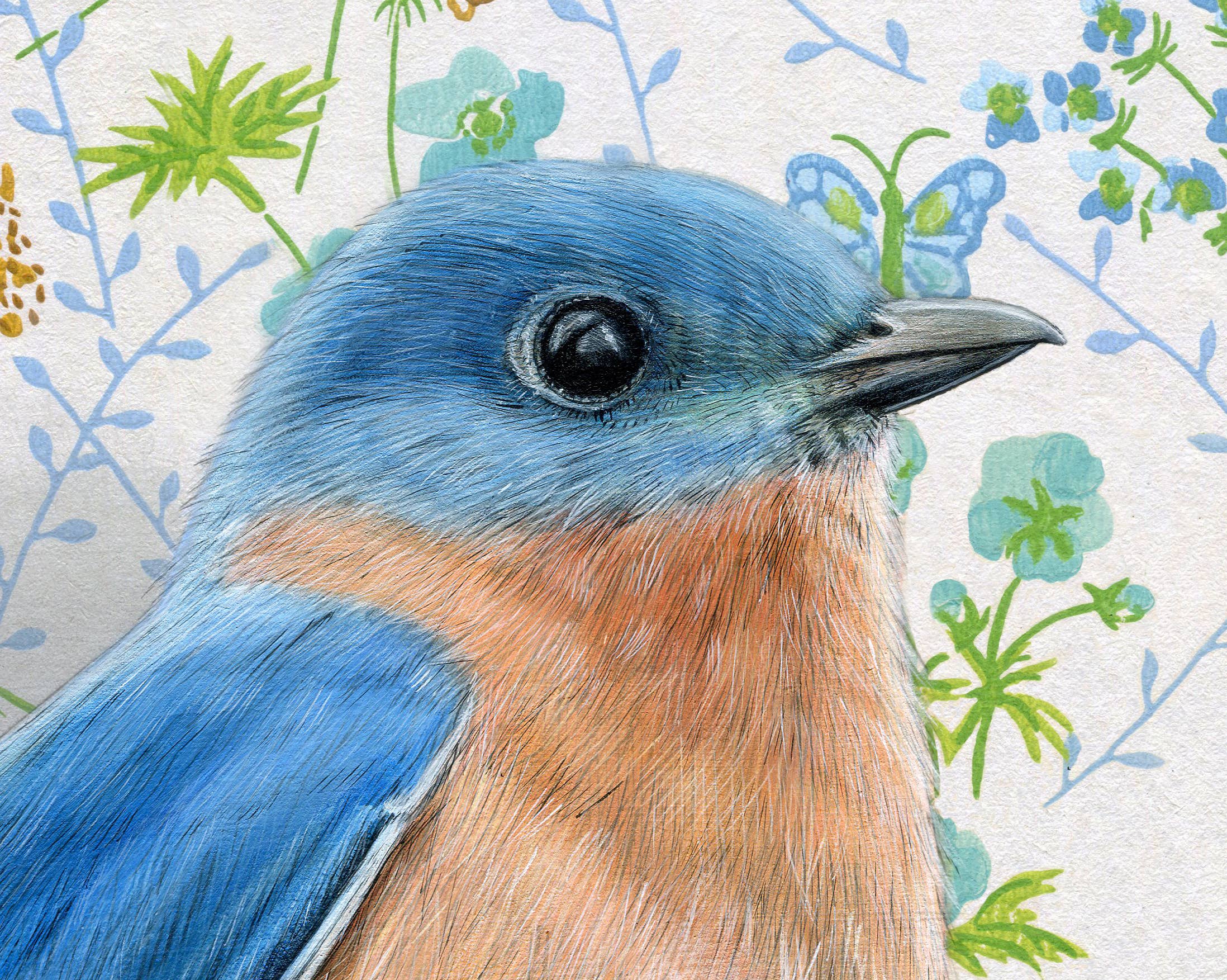 Portrait of a bluebird in a fine art print by Emily Uchytil, showcasing its bright colors with a decorative floral backdrop, great for nature enthusiasts.