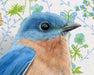 Portrait of a bluebird in a fine art print by Emily Uchytil, showcasing its bright colors with a decorative floral backdrop, great for nature enthusiasts.