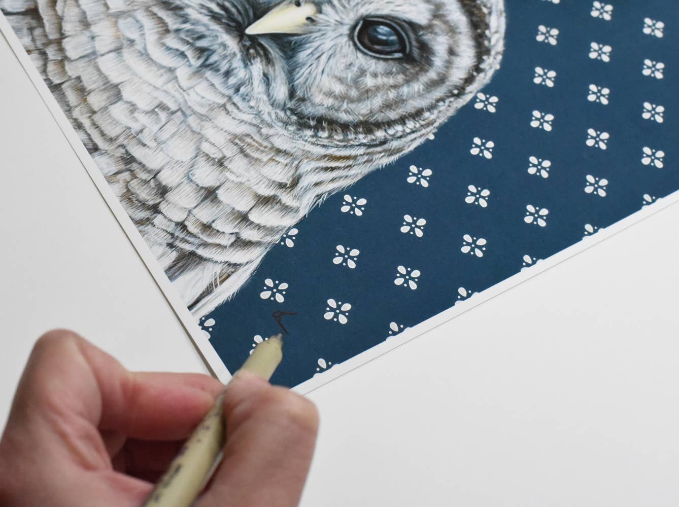 Adorable Barred Owl Dark Blue Fine Art Print, a clever and charming addition to any child's room decor, proving that owls can be both wise and cute!