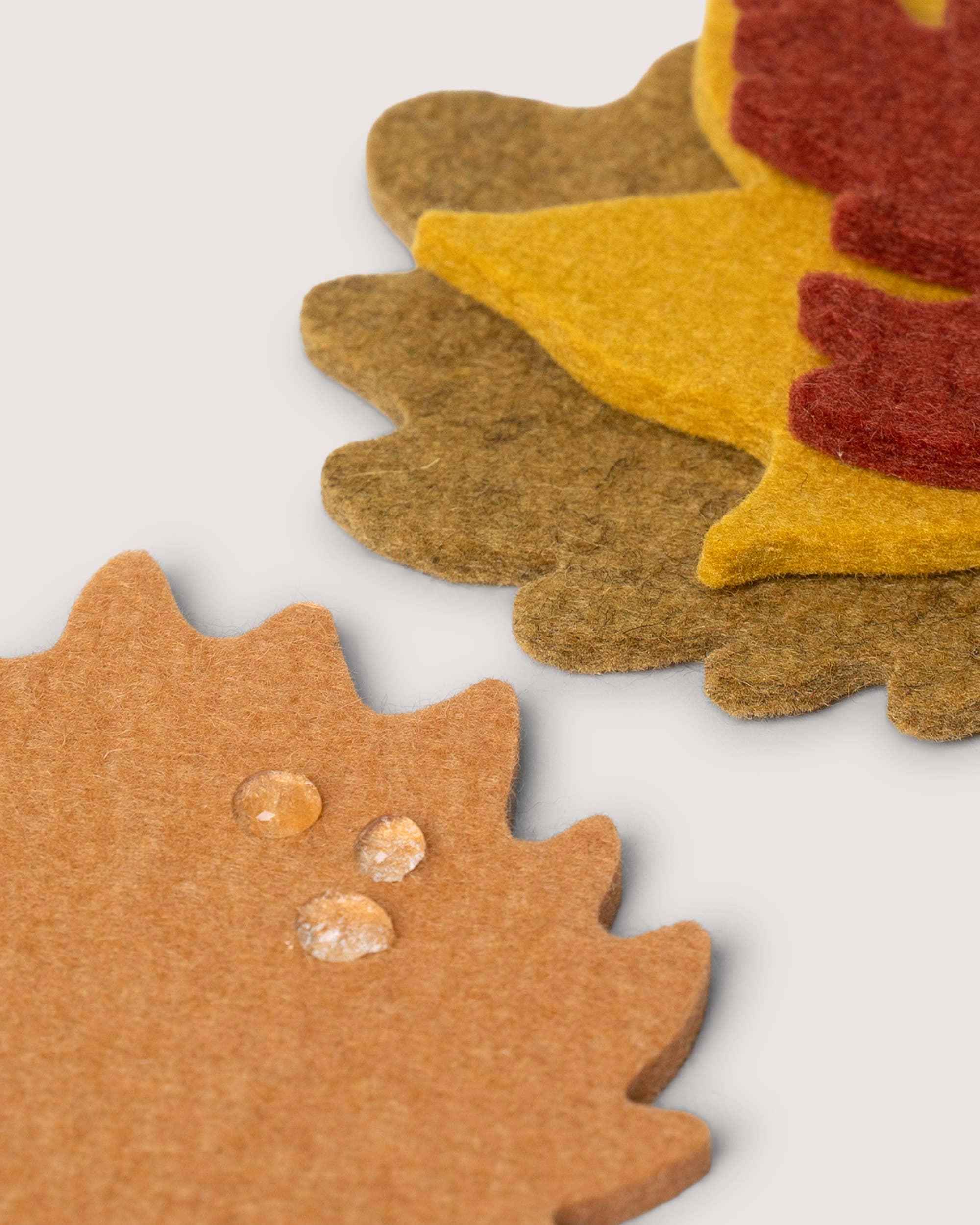Autumn Leaf Coaster | Set of 4 Multicolor