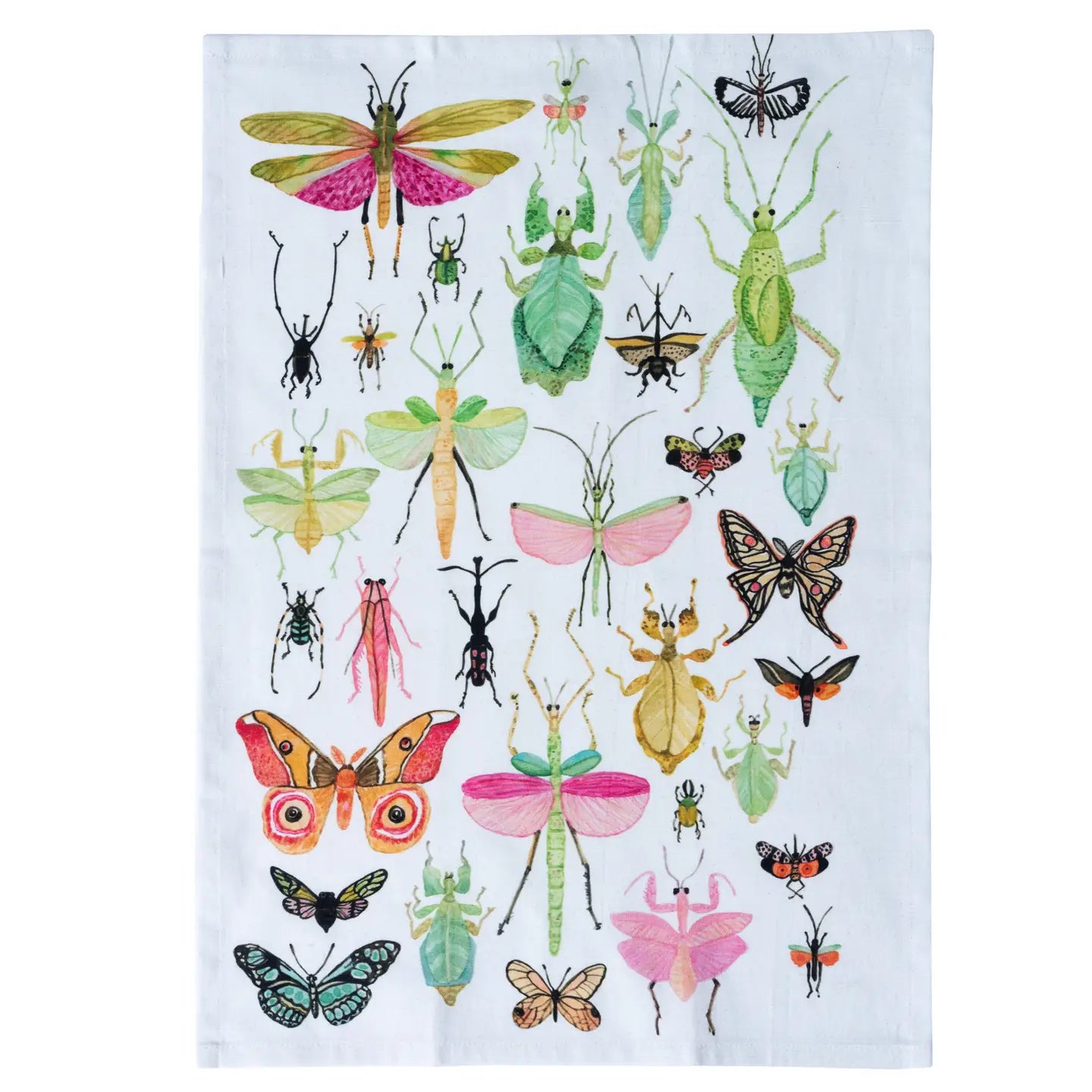 Tea Towels | Nature & Insects