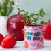 Strawberry grow kit by Modern Sprout placed among decorative red items, featuring a small plant in a pink canister adorned with the tagline 'You Are My Jam'. Ideal for vibrant home gardening using complimentary color grow kits.