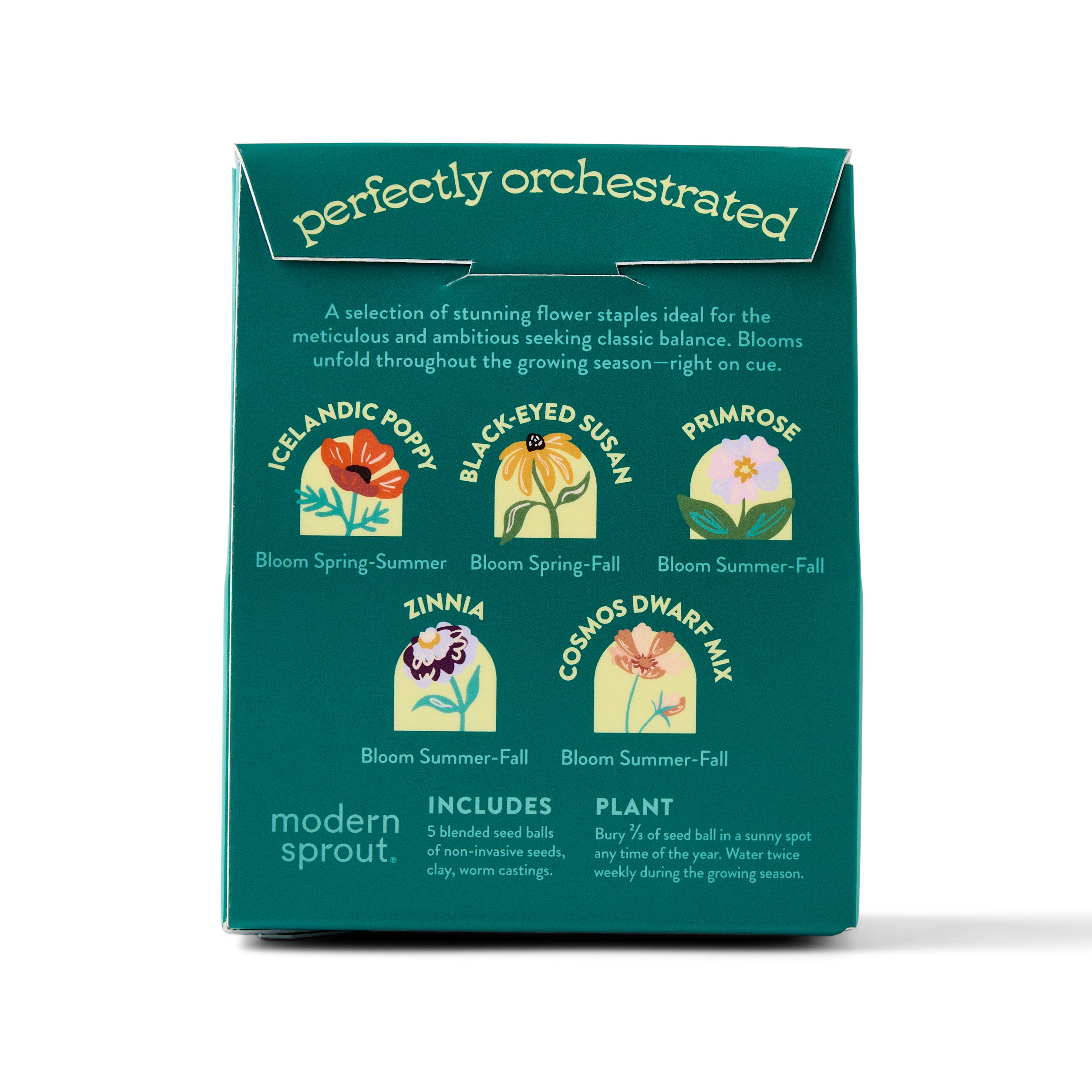 The back view of The Maestro's Garden seed ball kit from the Bespoke Blooms by Modern Sprout, featuring illustrated plant instructions and blooming flower icons on packaging.