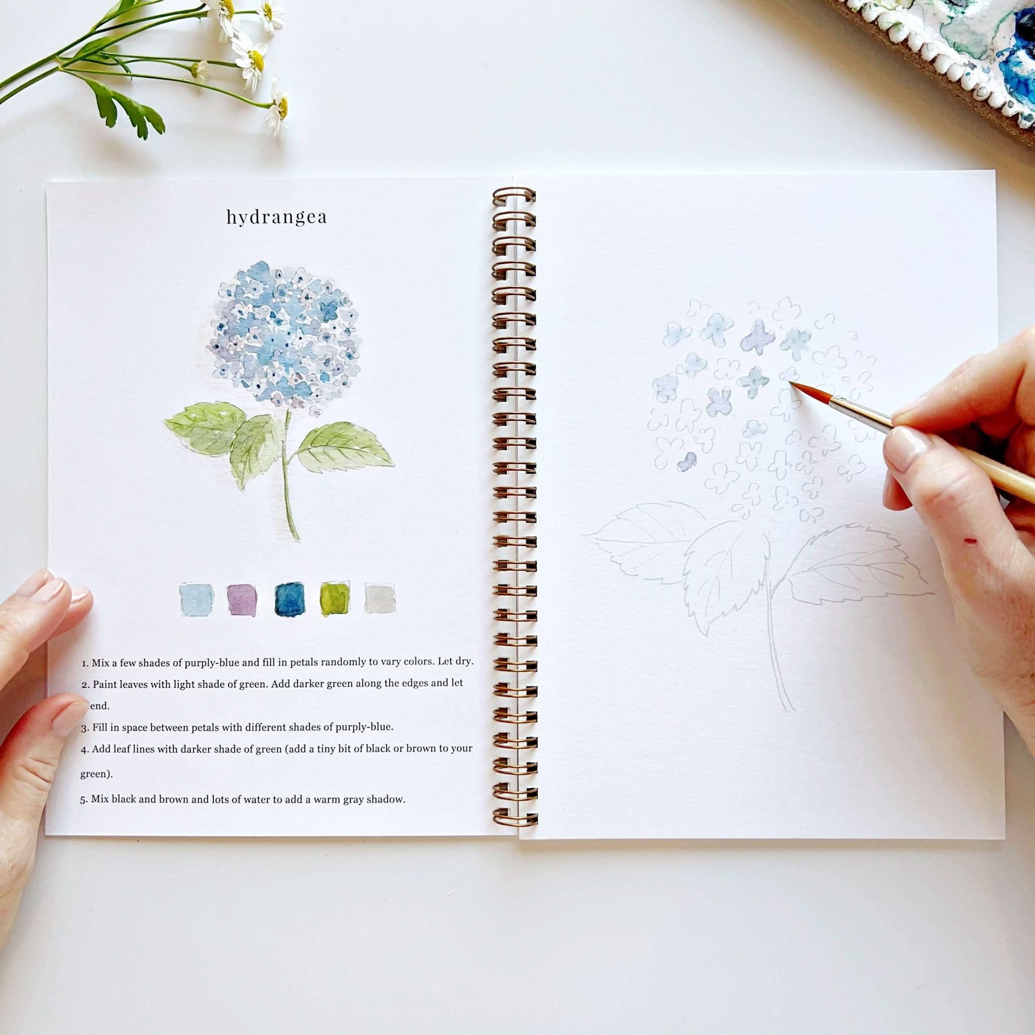 Inside look at the Flowers watercolor workbook, perfect for relaxing painting sessions with family and friends.