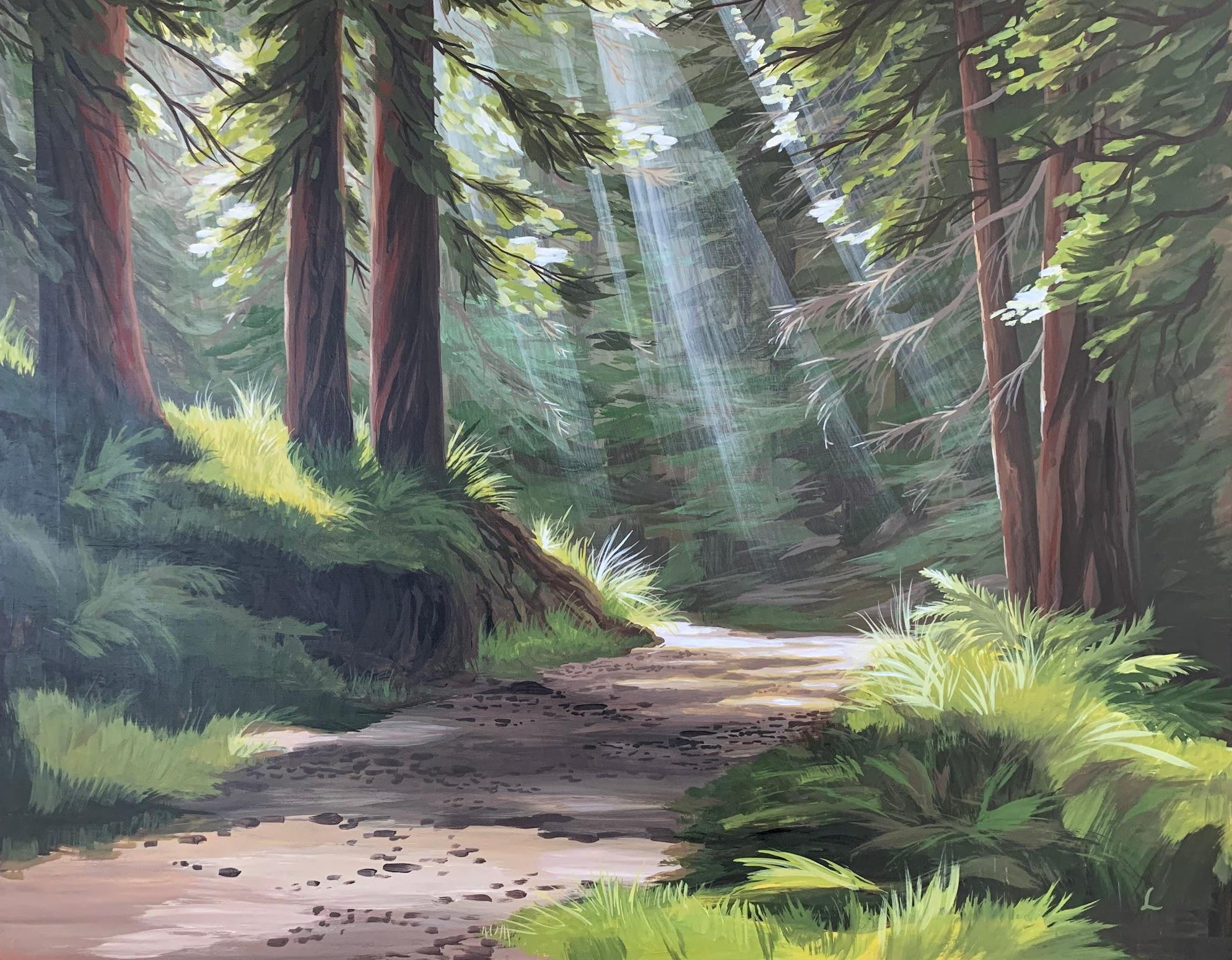 Leah Rose | Forest Therapy, Redwood Path