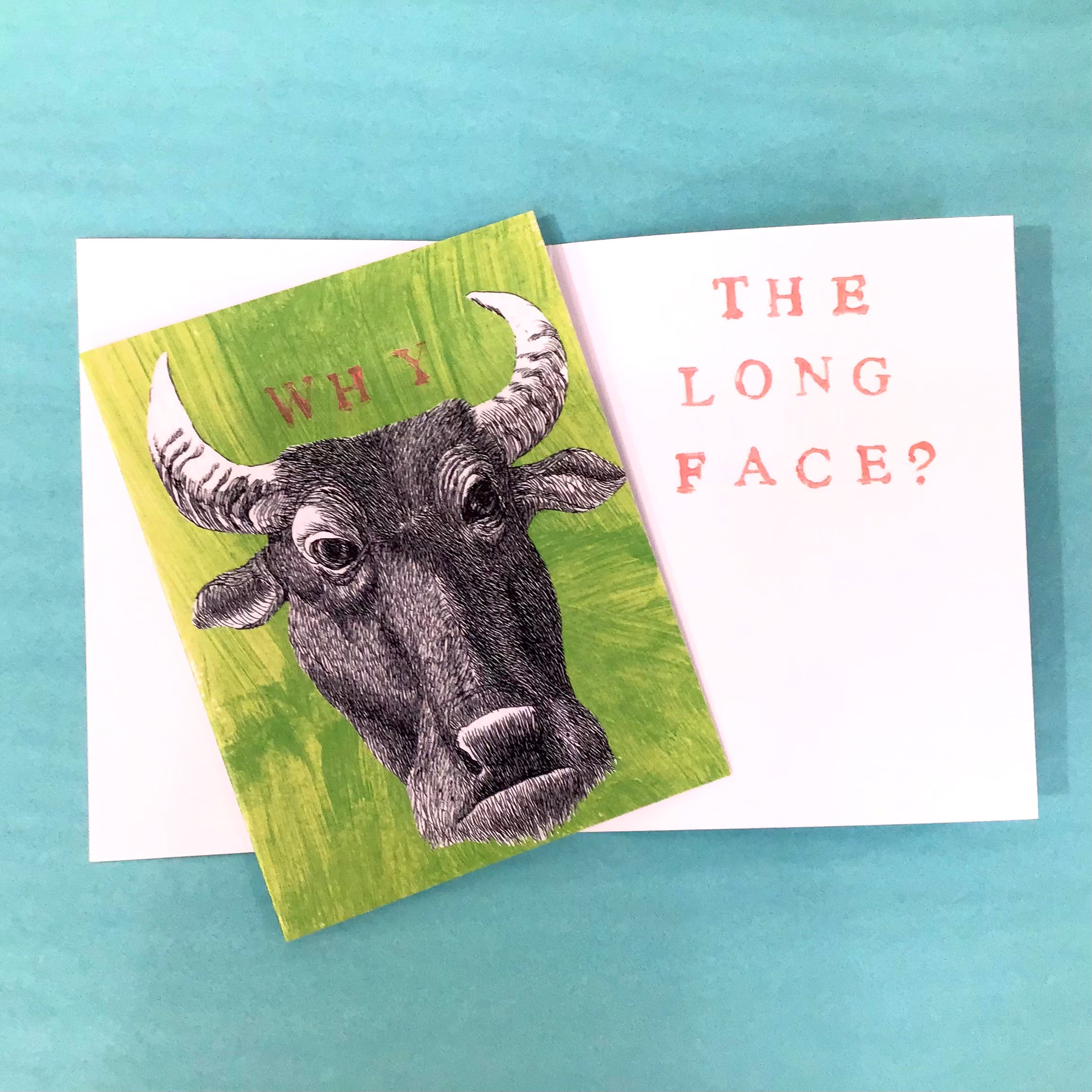 Why the long face Greeting Card