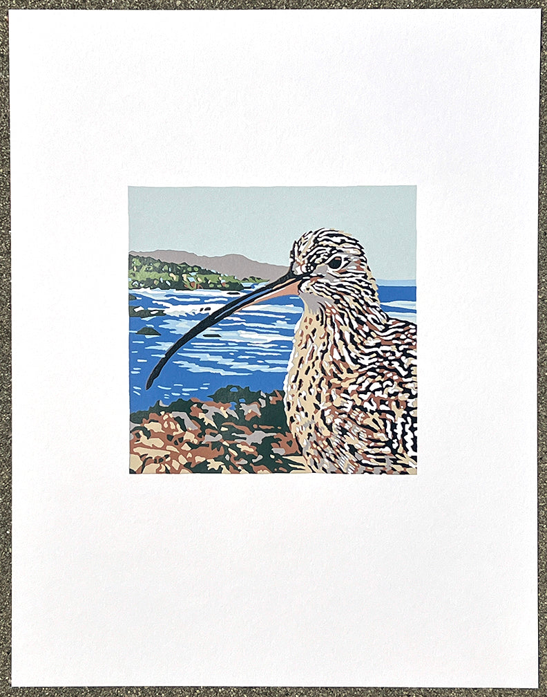 Curlew