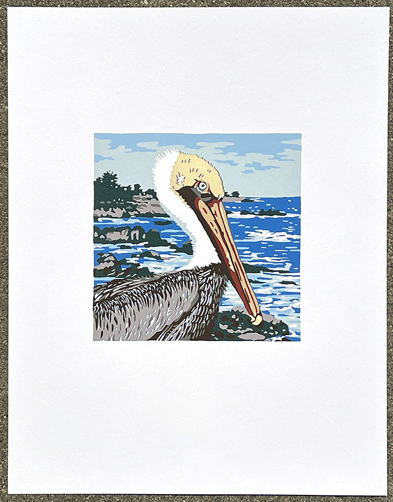 Pelican