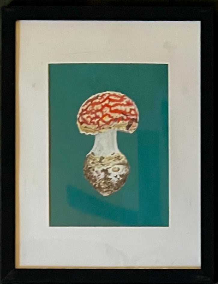 Amanita Muscaria - Teal Background
