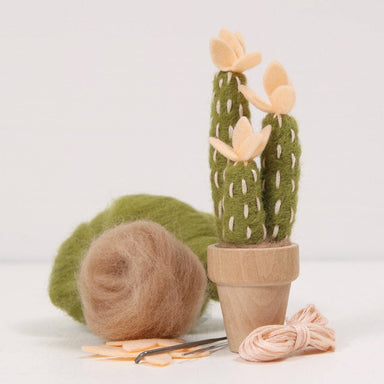 Cactus needle felt kit