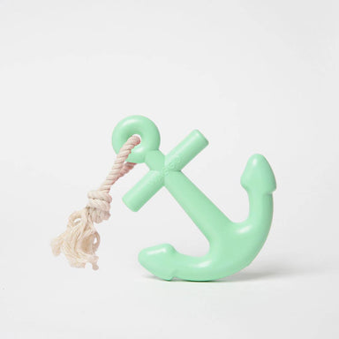 mint rubber dog toy