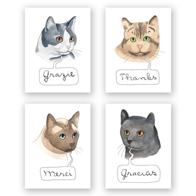 Cat Thank you cards