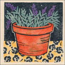 lavender plant gift enclosure card