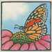 butterfly gift enclosure card