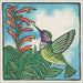 hummingbird gift enclosure card