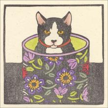 cat gift enclosure card