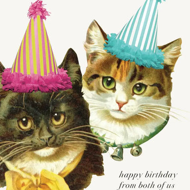 Happy Birthday cats from the both of us blank greeting card