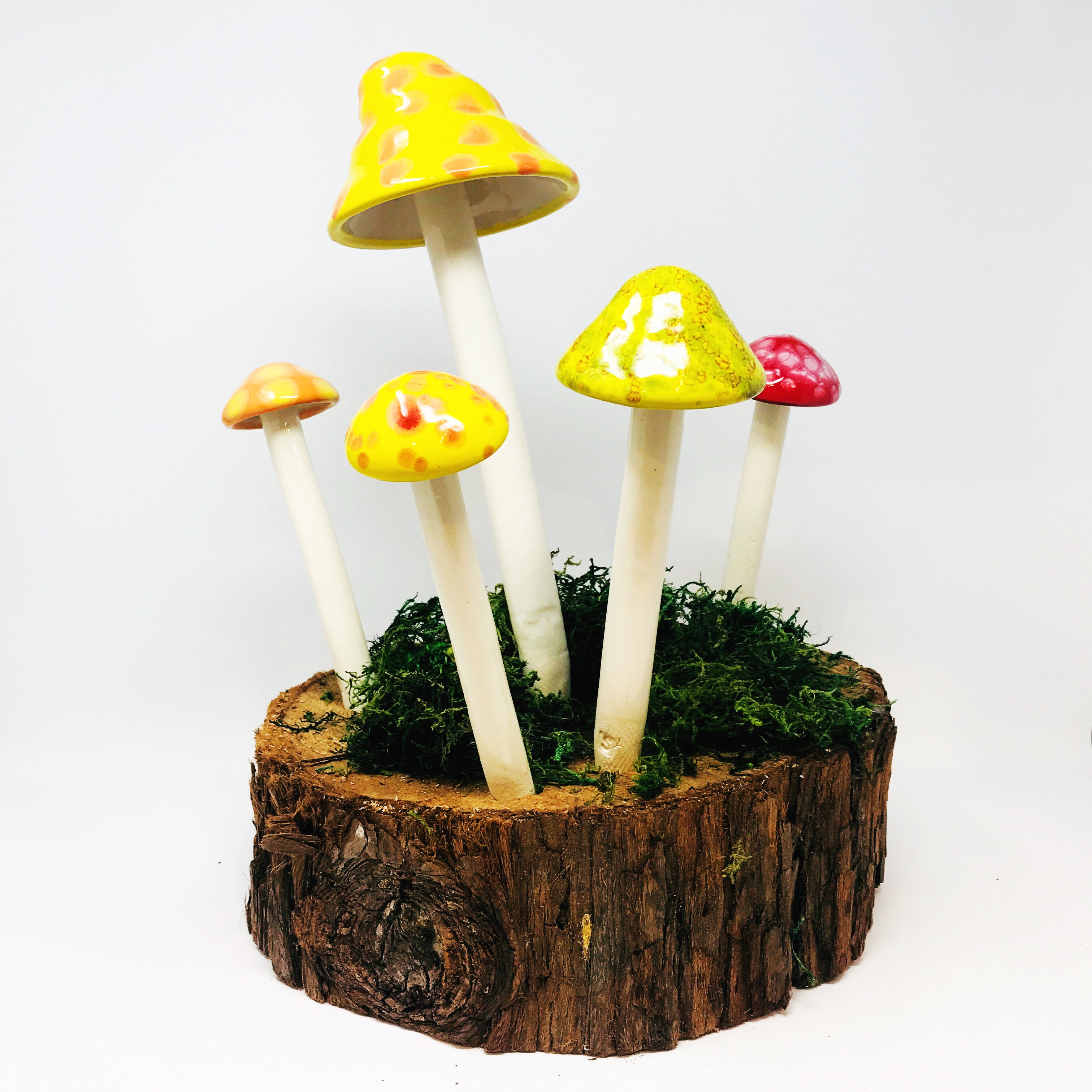 fairy garden mushrooms