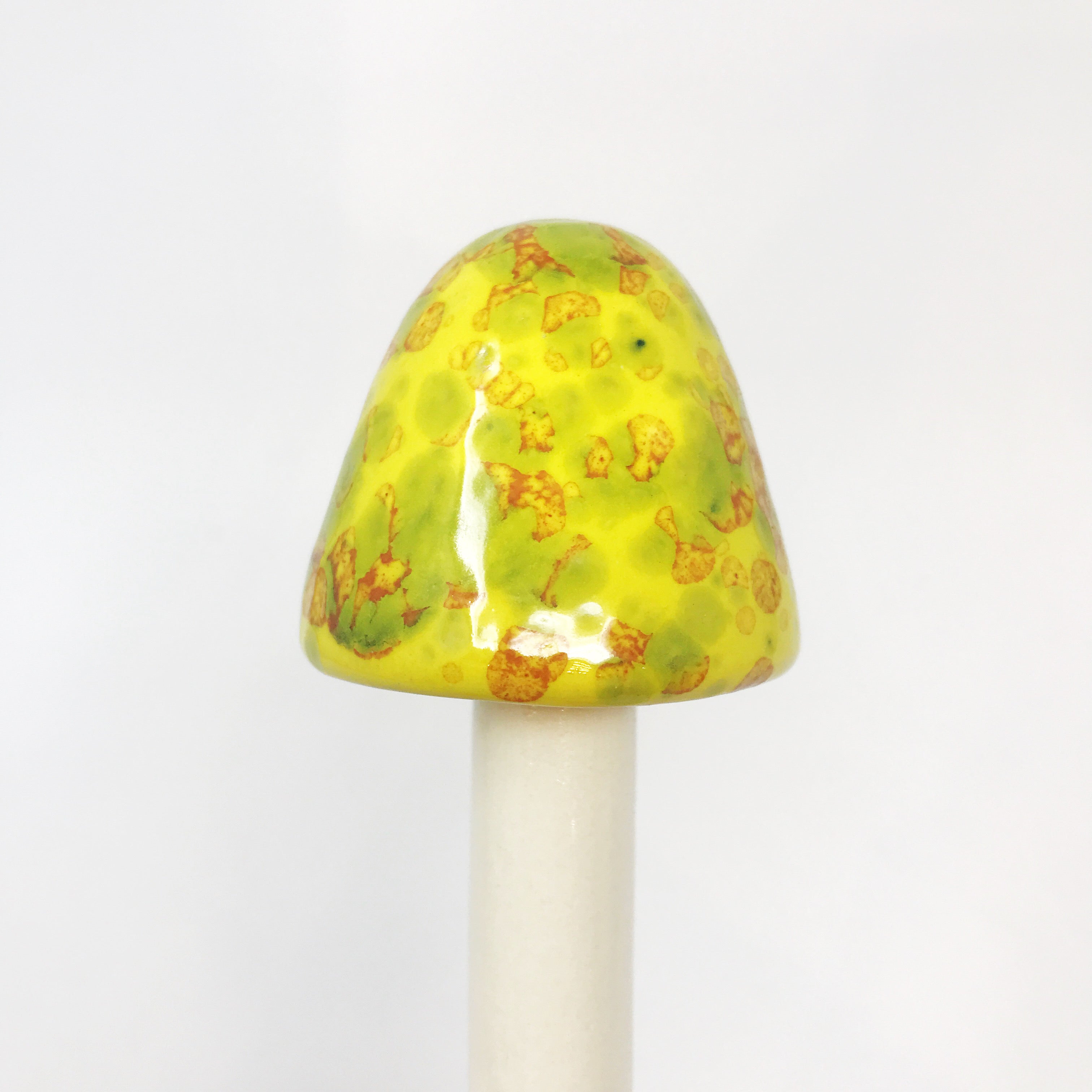 yellow fairy garden mushrooms