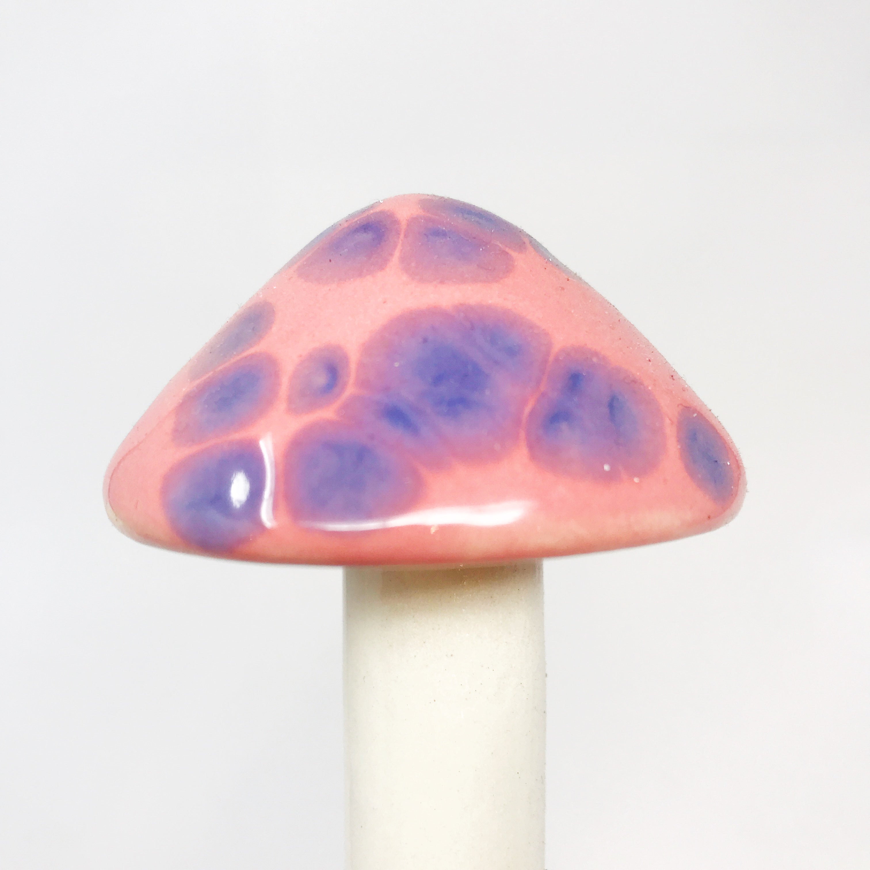 pink fairy garden mushrooms