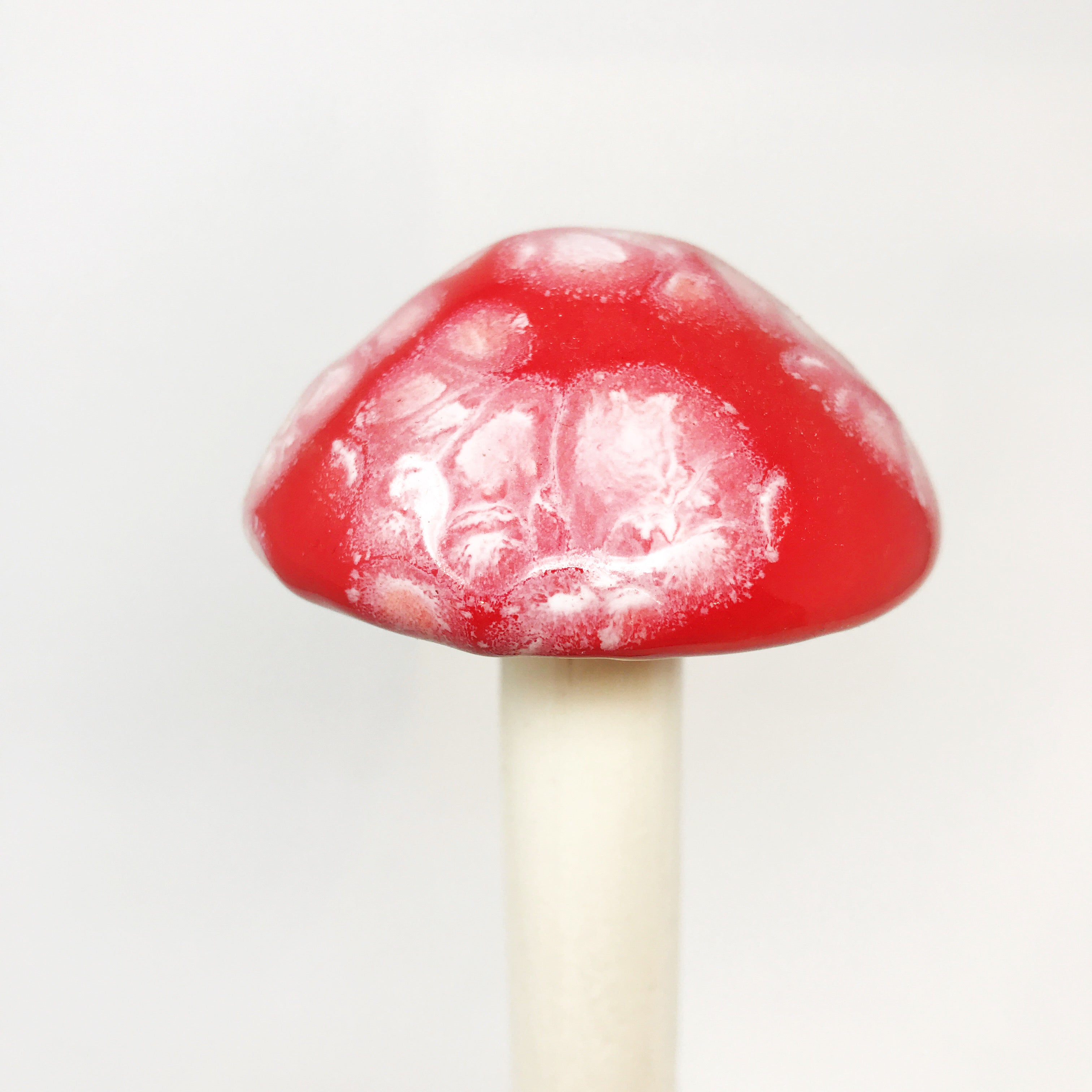 red fairy garden mushrooms
