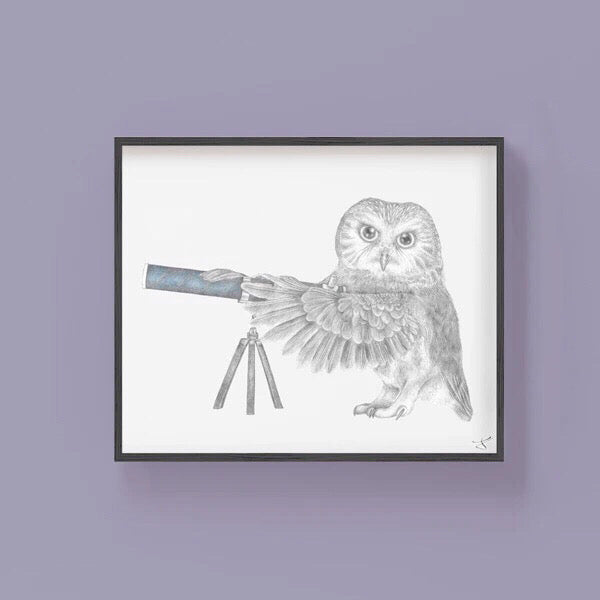 framed owl art print