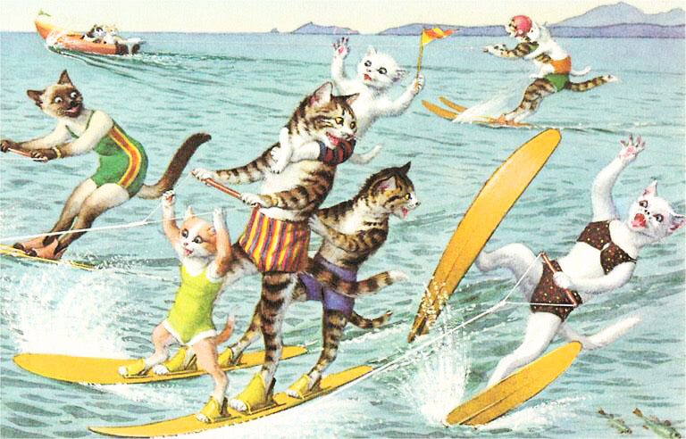 cats surfing greeting card