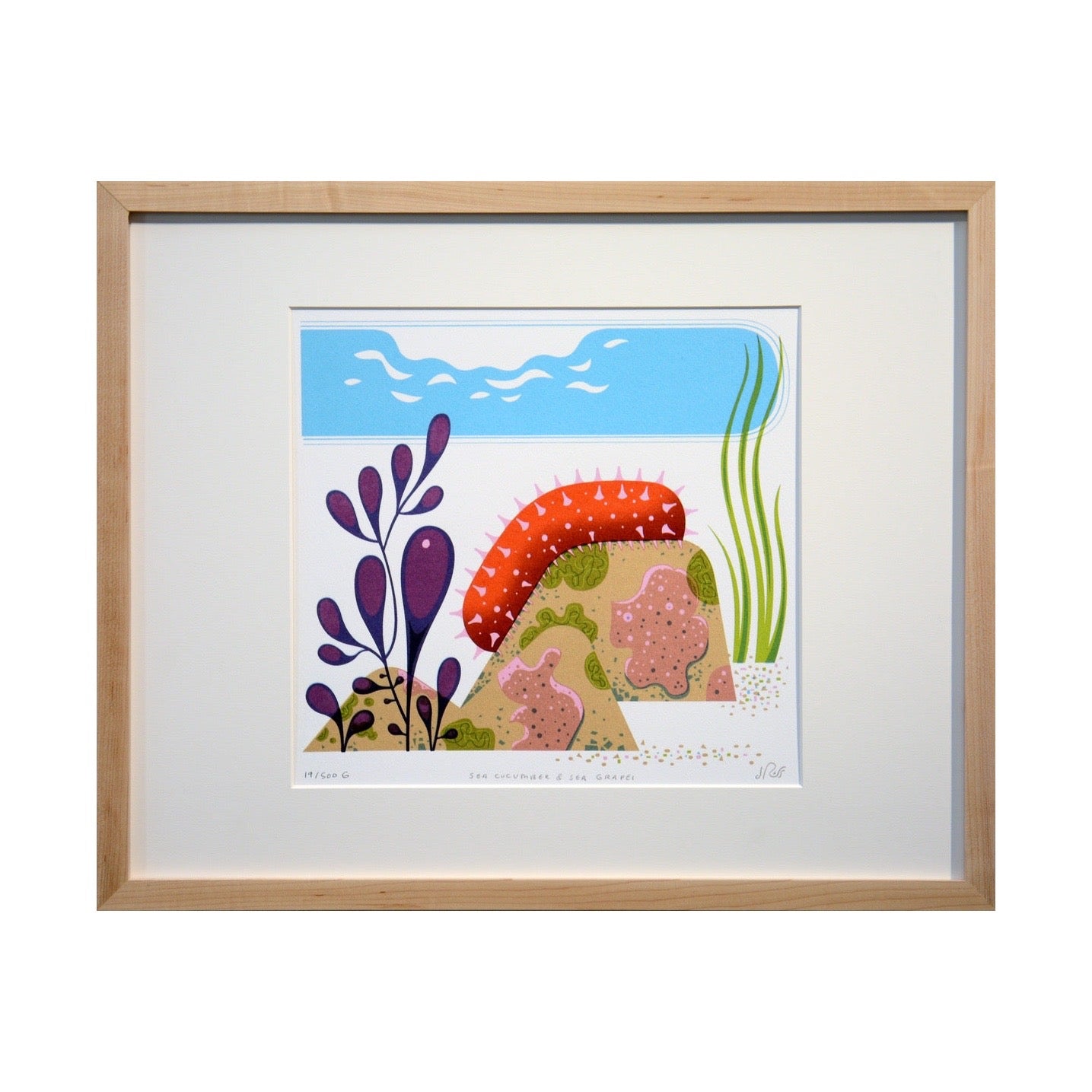 framed sea cucumber wall art