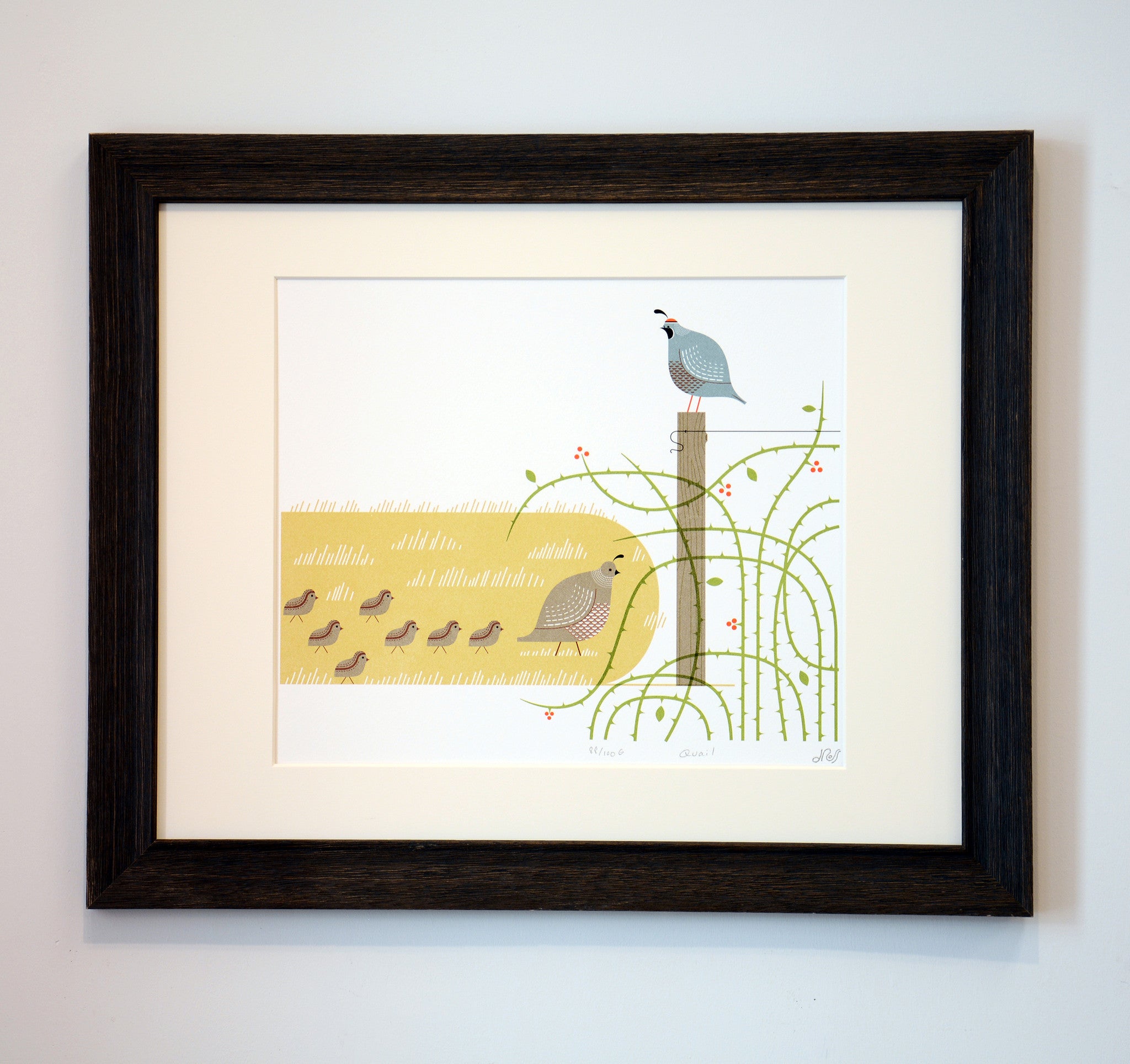 framed quail art print