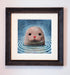 framed sea lion art print
