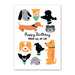 Happy Birthday from all of us dogs greeting card