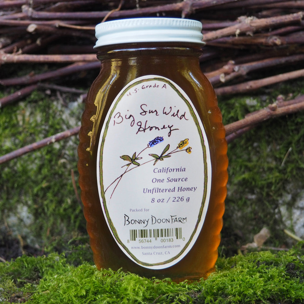 Big Sur Honey from Bonny Doon Farm — ARTISANS & agency