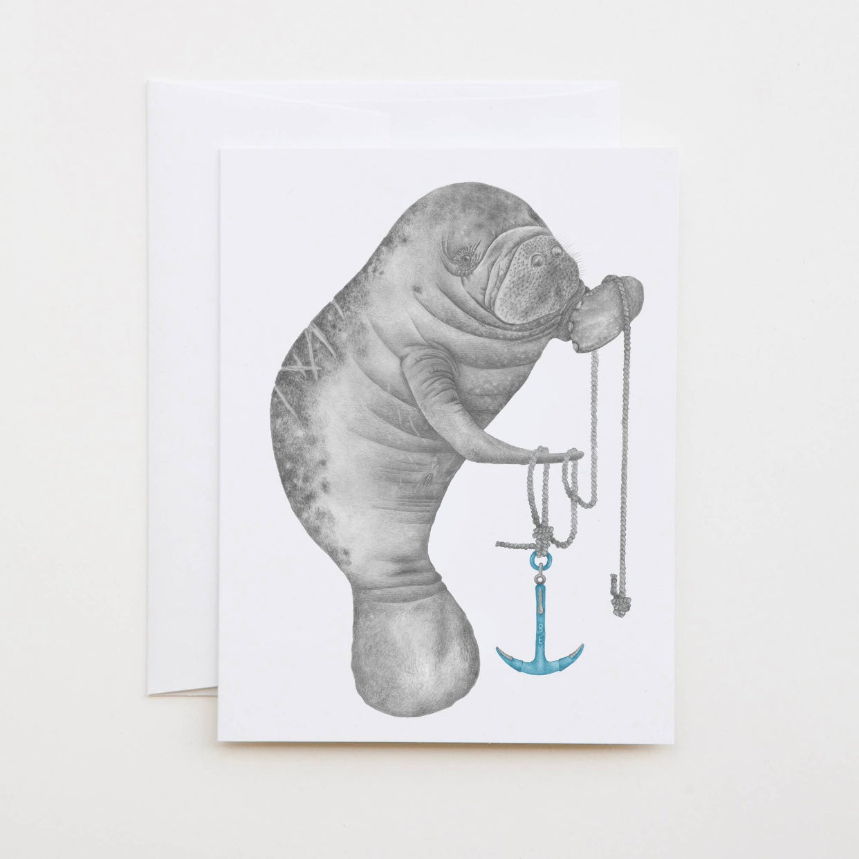 elephant seal greeting cards