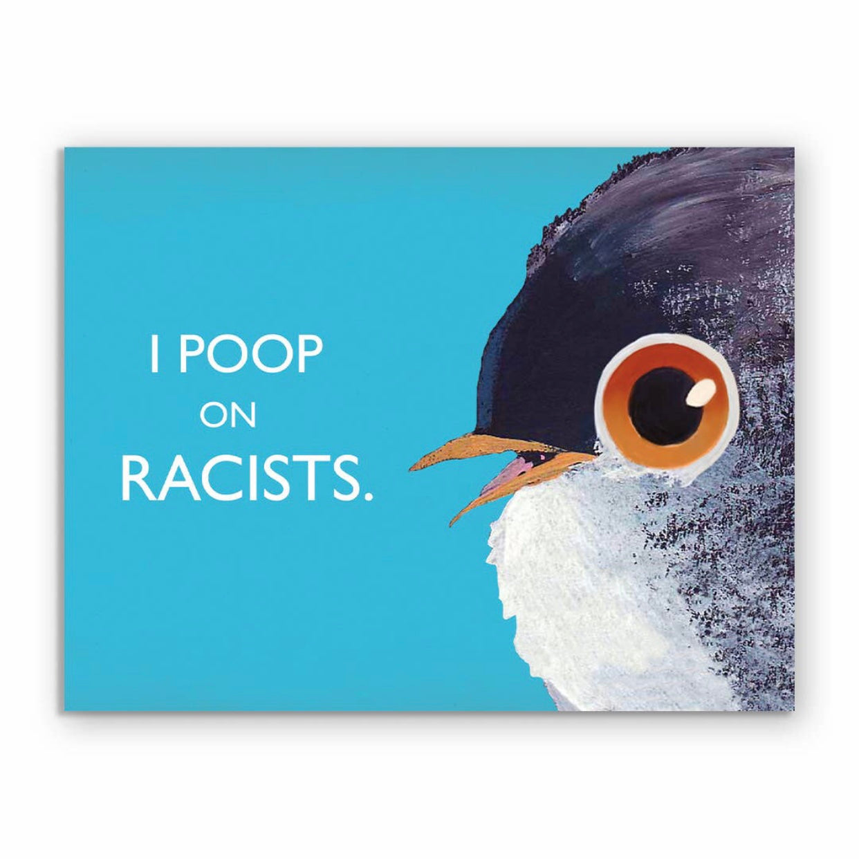 i poop on racists Greeting Card