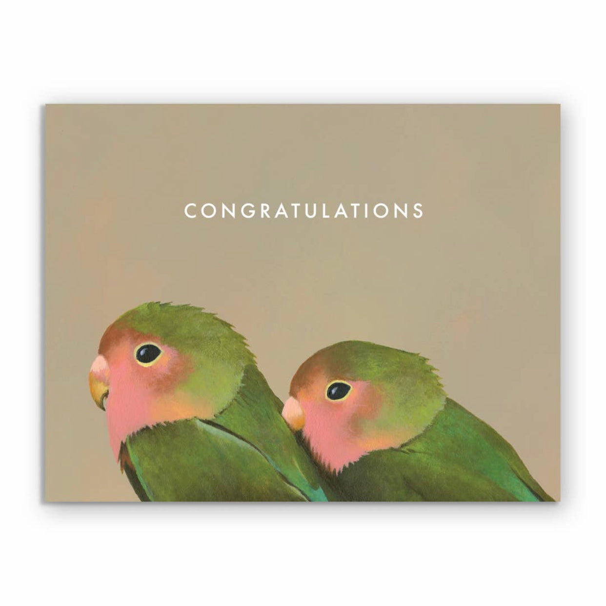 Congratulations love birds Greeting Card