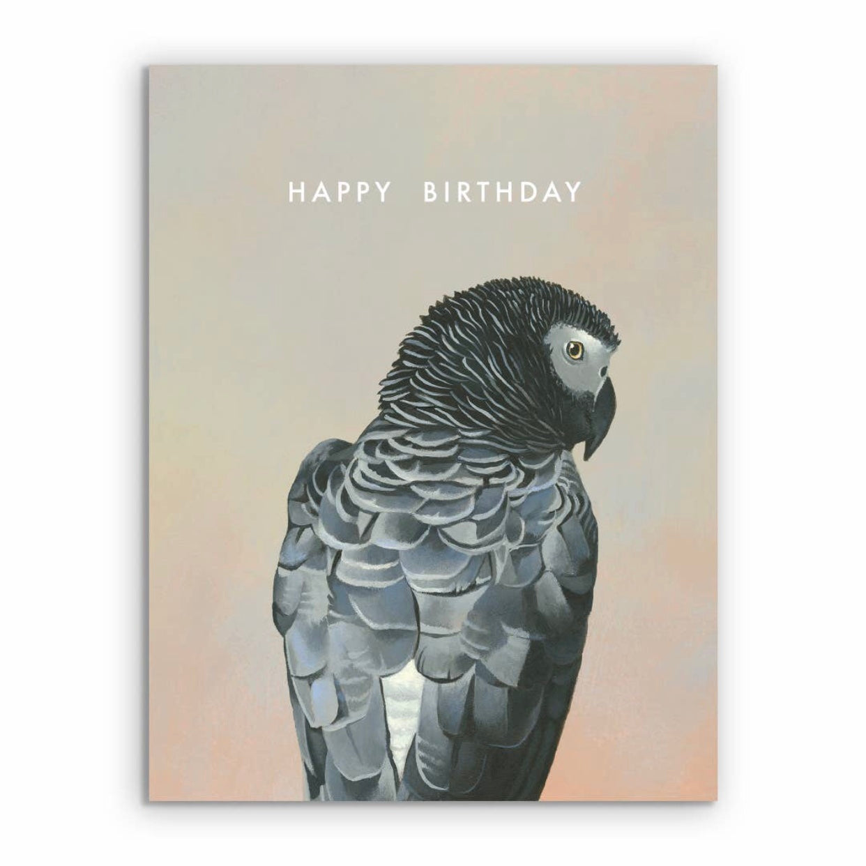 Happy Birthday Owl Greeting Card