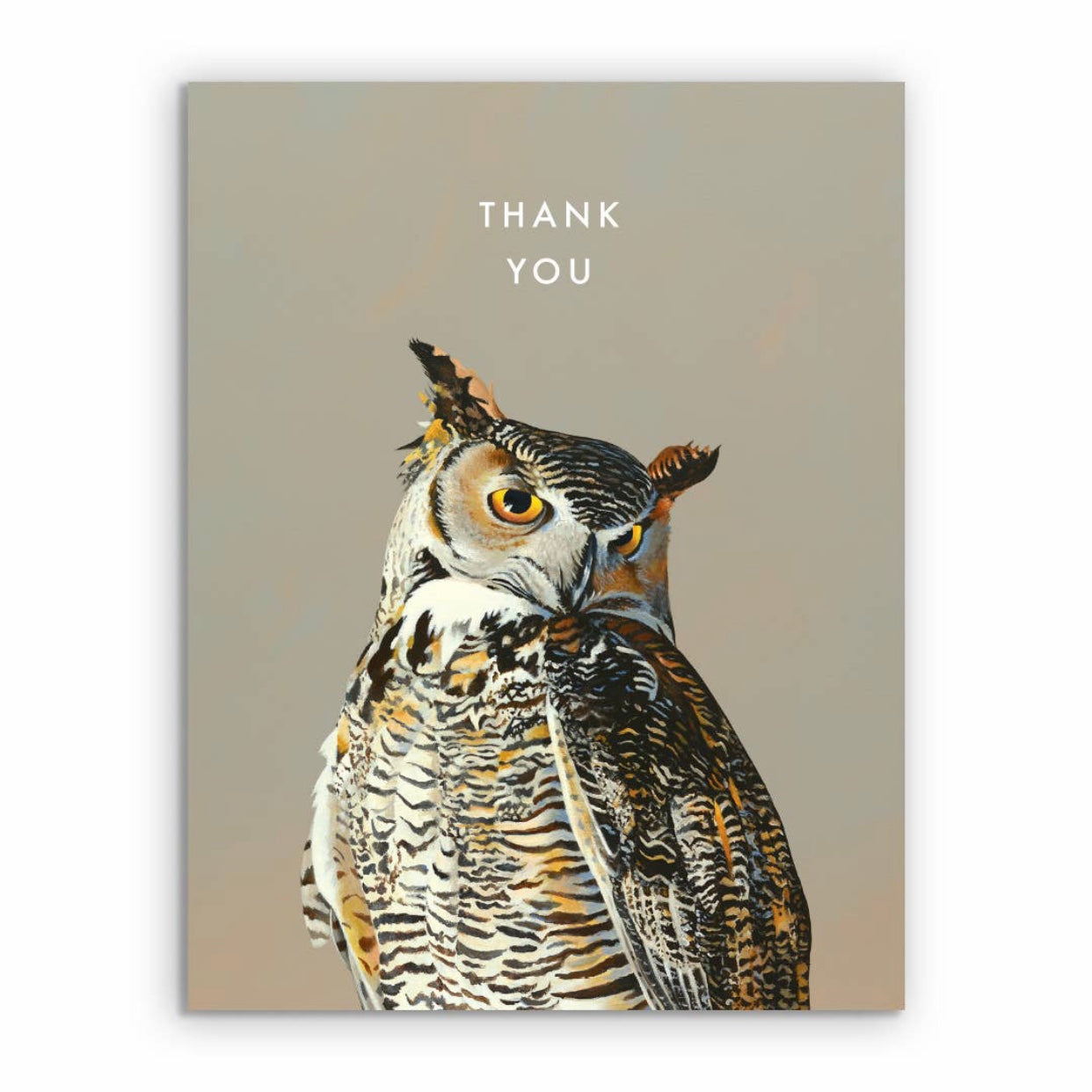 Thank you Owl Greeting Card