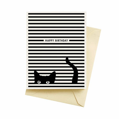 Happy Birthday cat greeting card