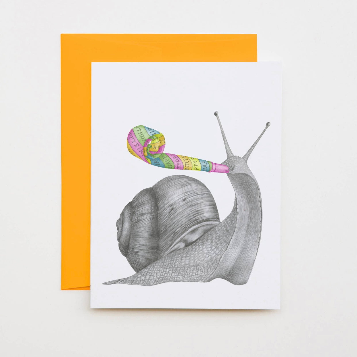 snail blank greeting card