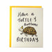 have a turtle-y awesome birthday greeting card