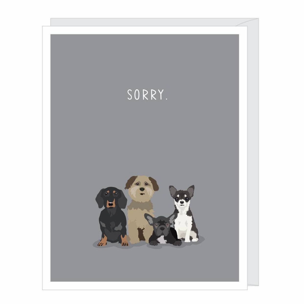 Dog Sorry greeting card