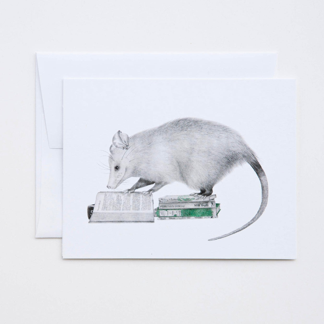 rat greeting cards