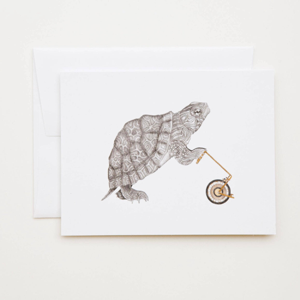 turtle greeting cards