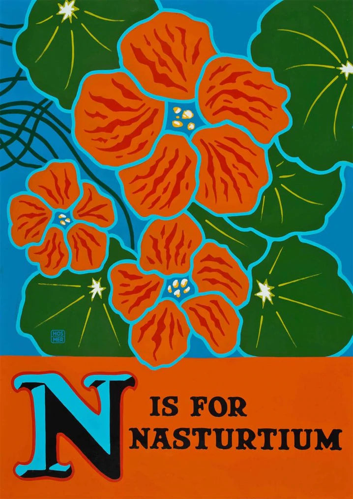 N is for Nasturtium blank greeting card