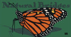 Monarch butterfly graphic print
