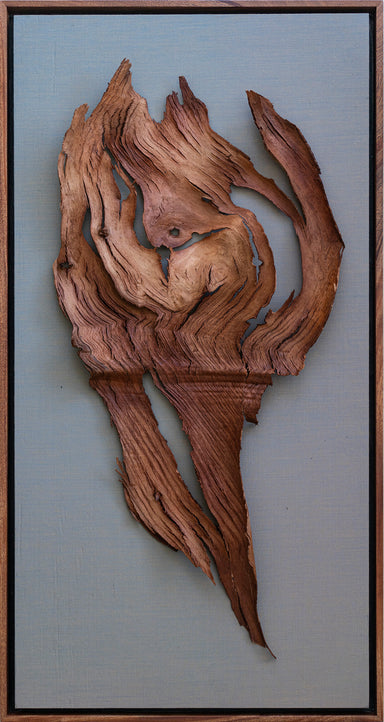 3 dimensional art eucalyptus tree bark