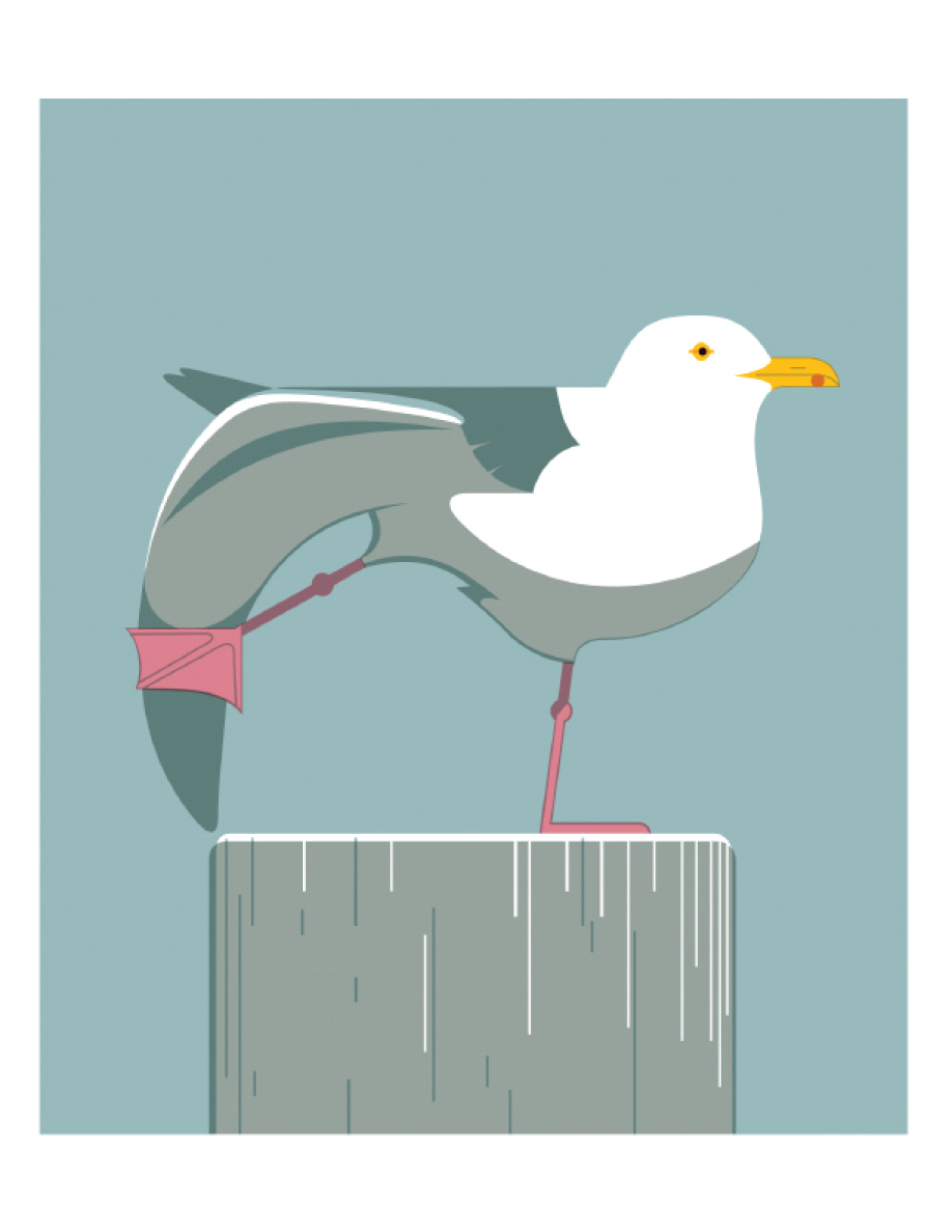 Water bird greeting card